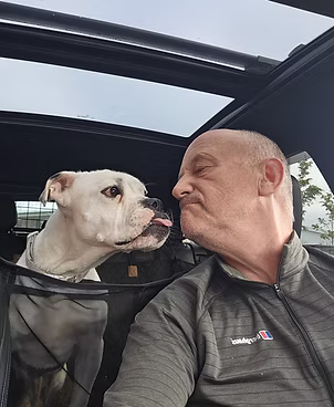 Cruize, a 3 years old male Unknown available for adoption from Lola's Legacy Dog Rescue in Gloucestershire