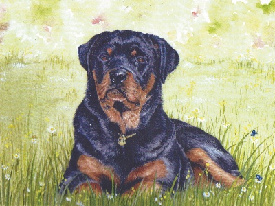 Rottweilers In Need logo