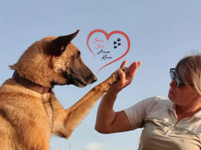 Saving Souls Animal Rescue logo