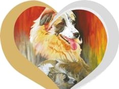 Scruffy Dog Rescue Shropshire logo