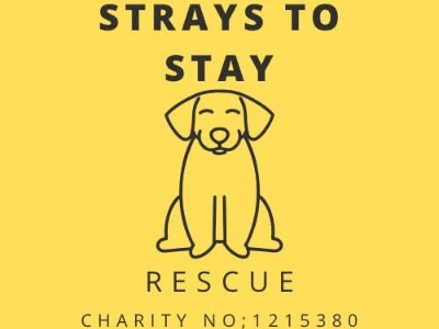 Strays To Stay logo